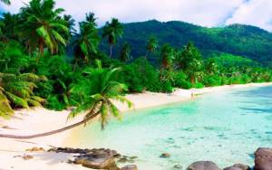Тропический дикий пляж на острове