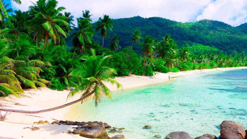 Обои Тропический дикий пляж на острове
