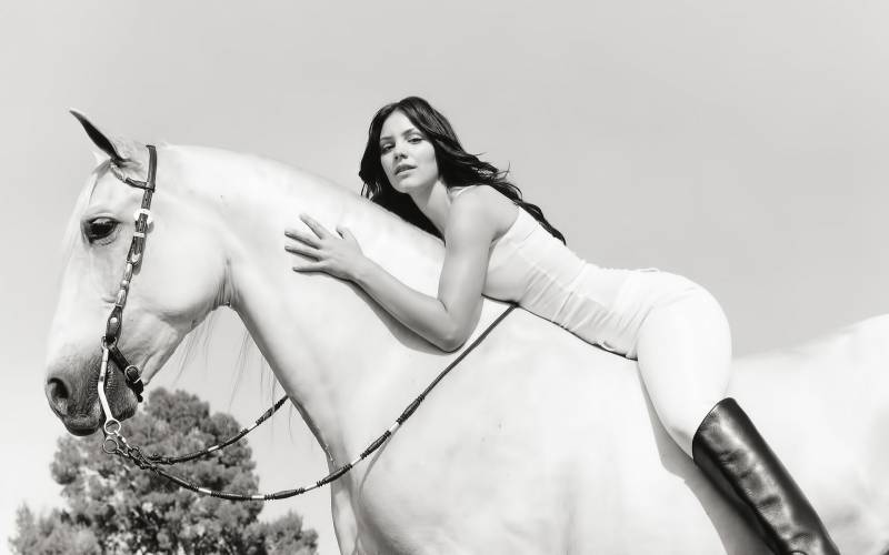Обои Девушка брюнетка на белом коне