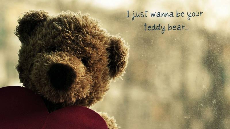 Обои Teddy