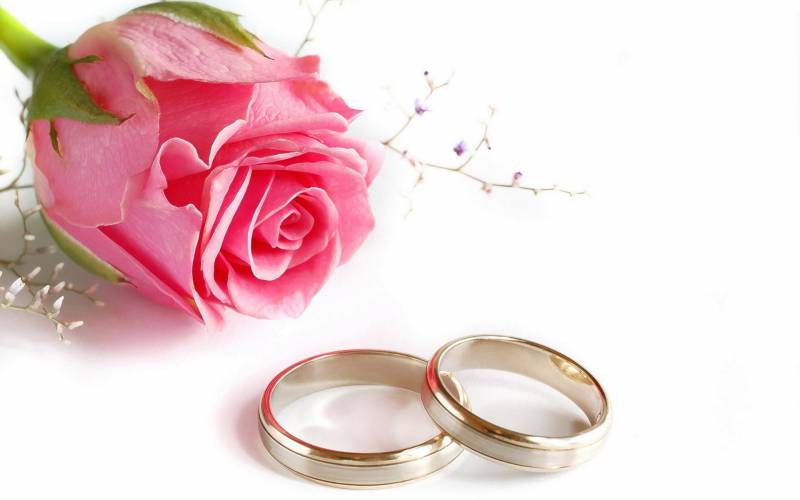 Обои Свадьба, кольца, роза