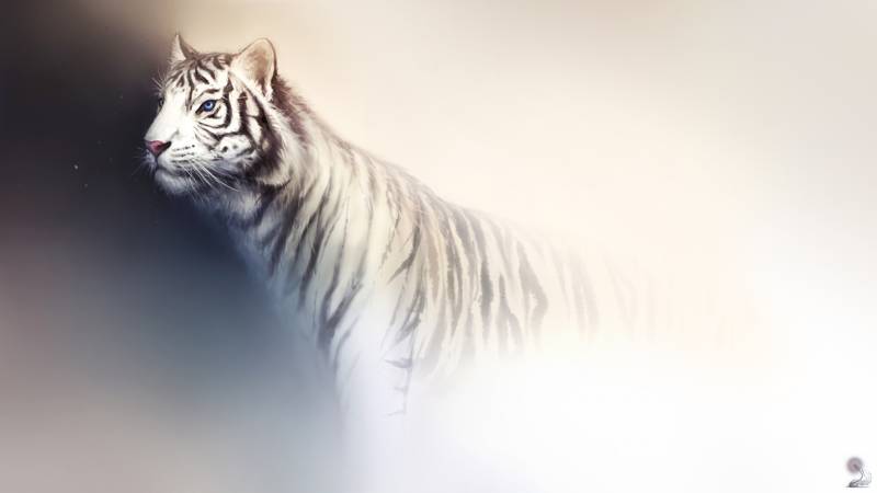 Обои арт белый тигр