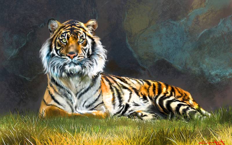 Обои арт тигр