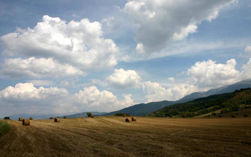 Обои Поле со скирдами сена