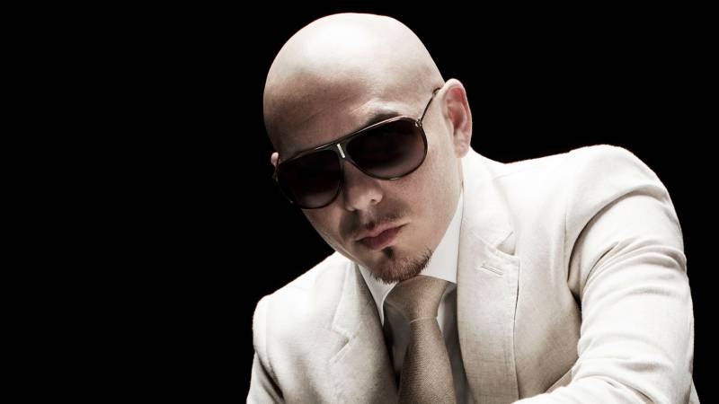 Обои pitbull