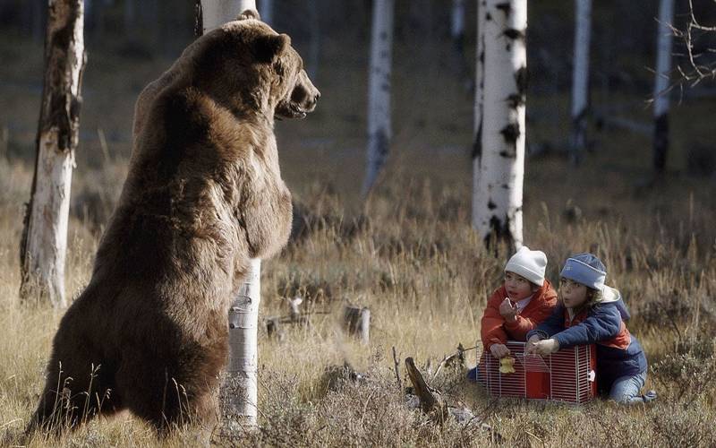 Обои Медведь и дети в лесу