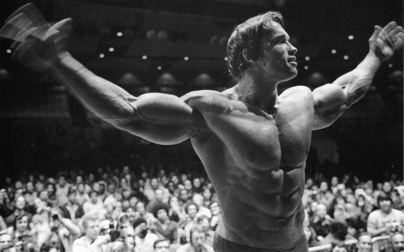 Обои arnold schwarzenegger